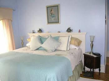 The Seymour House Bed & Breakfast South Haven Exteriér fotografie